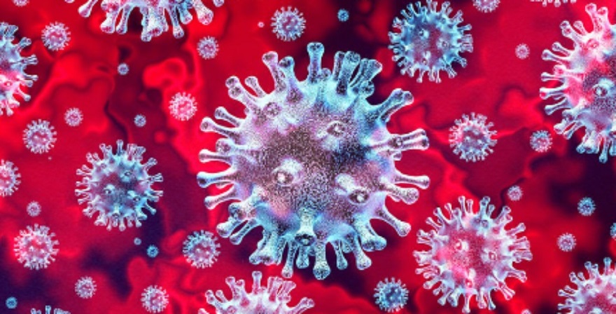 coronavirus