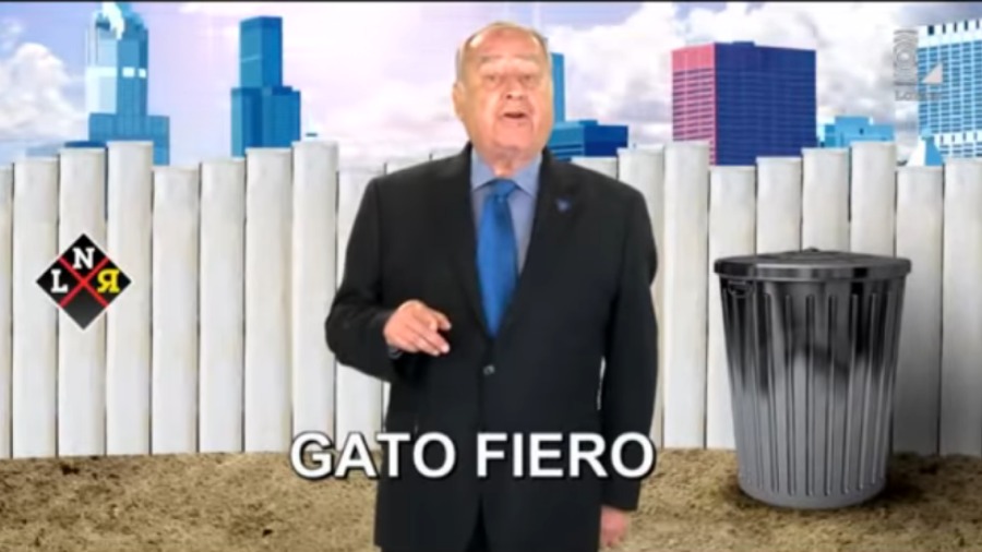 Gato Fiero