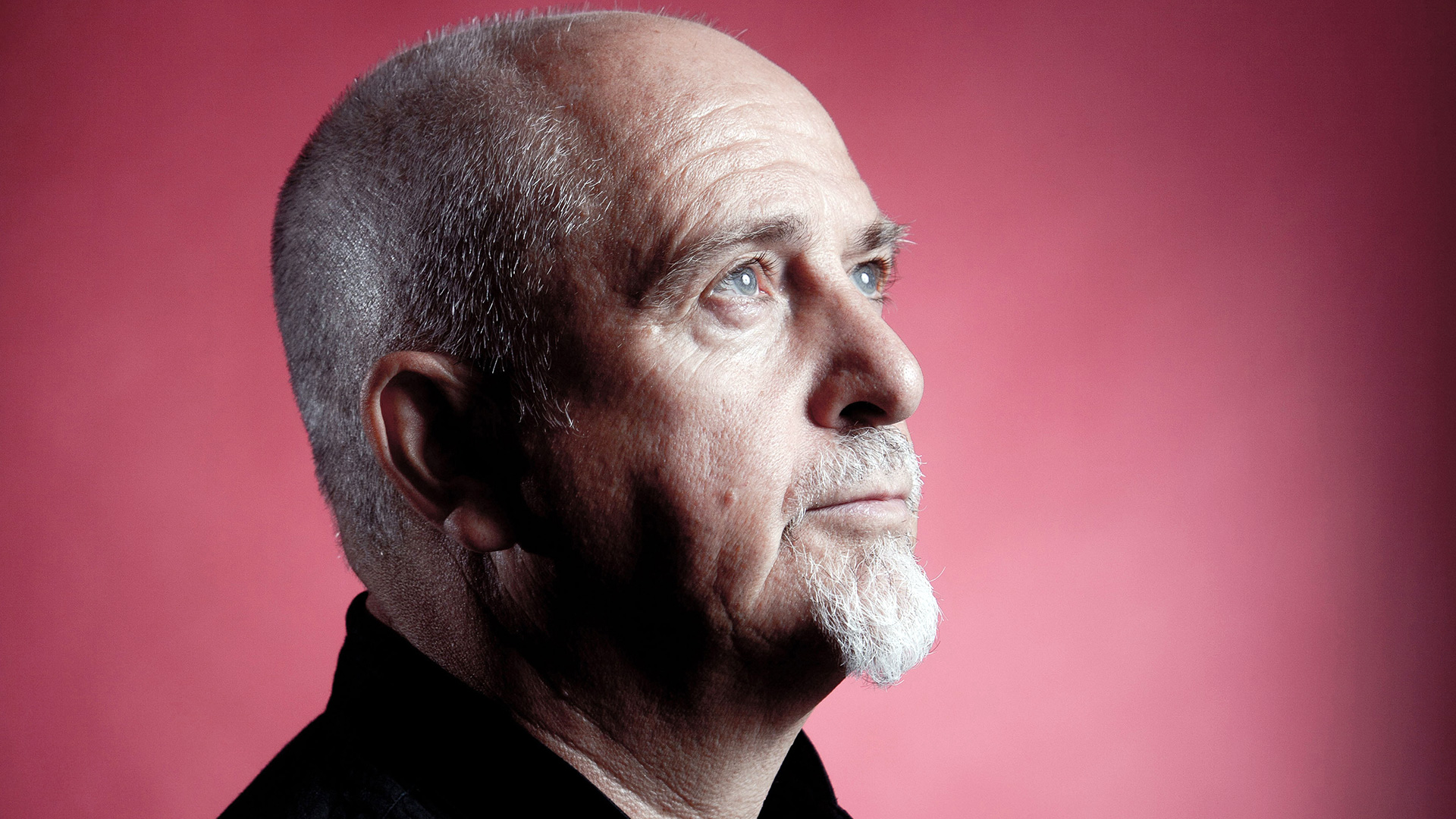 Peter gabriel