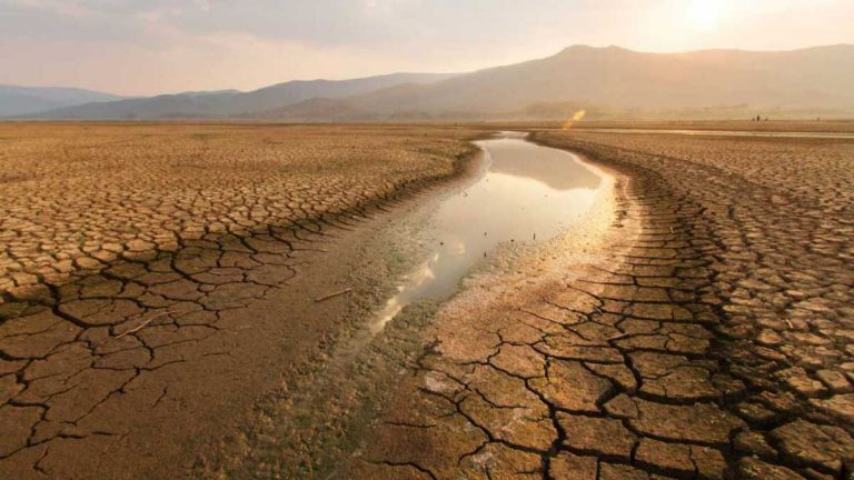 Verano Cambio Climático