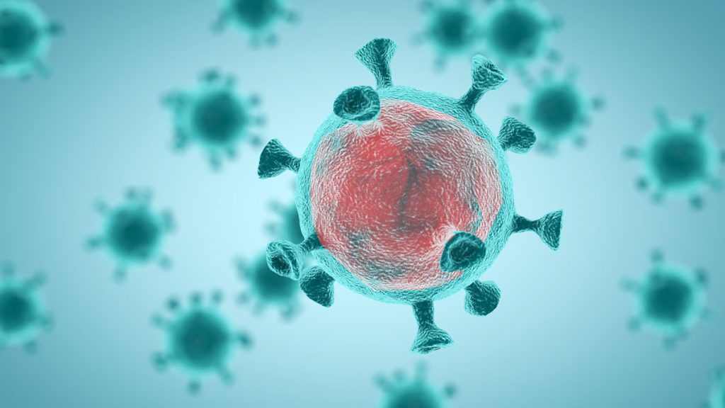 Coronavirus Covid-19 variante sudafricana