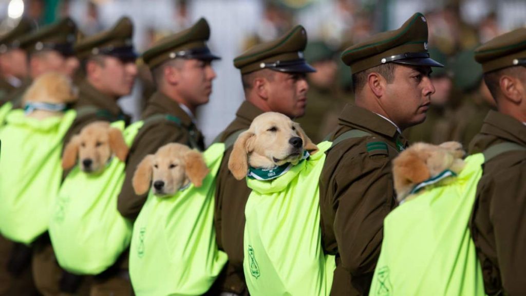 Cuándo es la Parada Militar 2021, dónde verla y cuánto costará — Radio