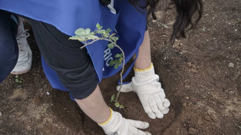 Corporación Cultiva