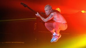 Flea