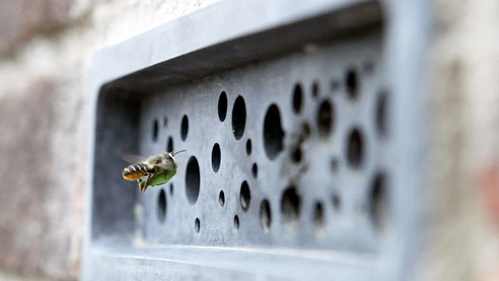 Bee Bricks