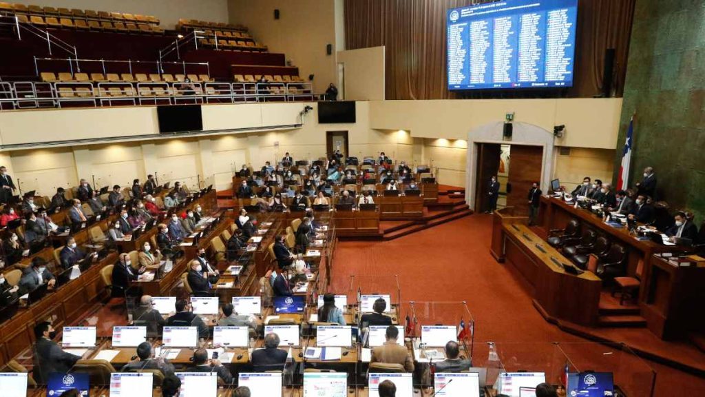 Cámara De Diputadas Y Diputados