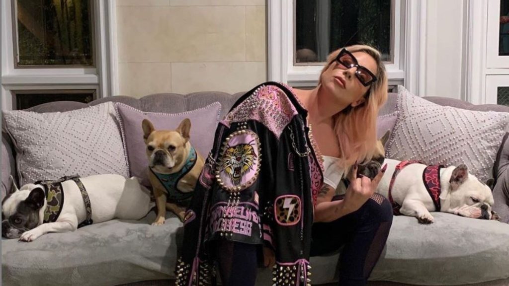 Lady Gaga recibe insólita demanda de mujer involucrada en el robo de sus perros