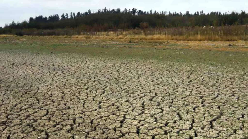 Exministra De Agricultura Por Encuesta De Cambio Climático_ _Lo Crucial Es La Adaptación Y No Hablamos De Eso_