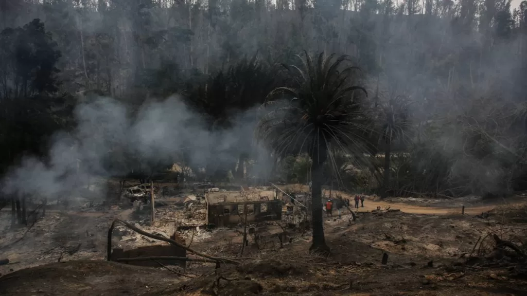 _Es Un Daño Irreversible__ Autoridades Confirmaron Que Jardín Botánico De Viña Del Mar Quedó Gravemente Afectado Por Incendio Forestal