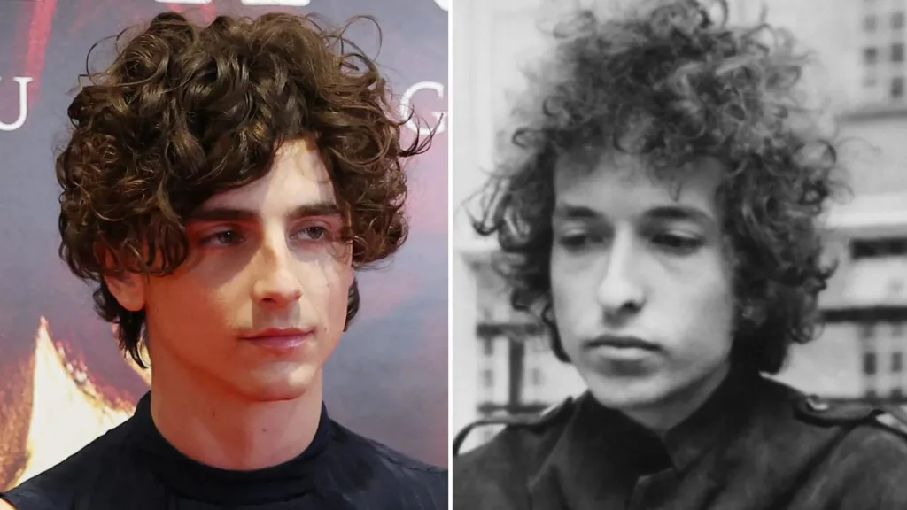 Timothée Chalamet Bob Dylan