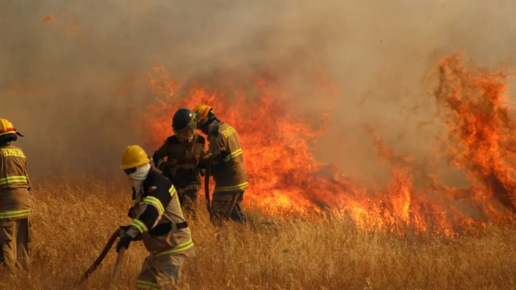 Francisco Mondaca El Autor Del Incendio De Valparaido Relato