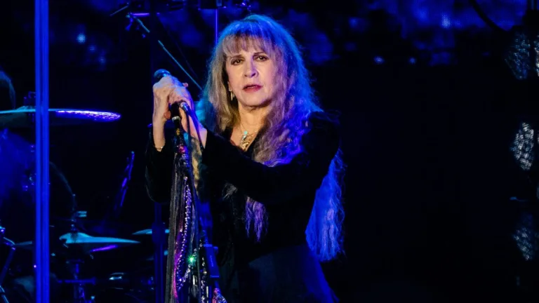 Stevie Nicks