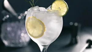 Gin Tonic