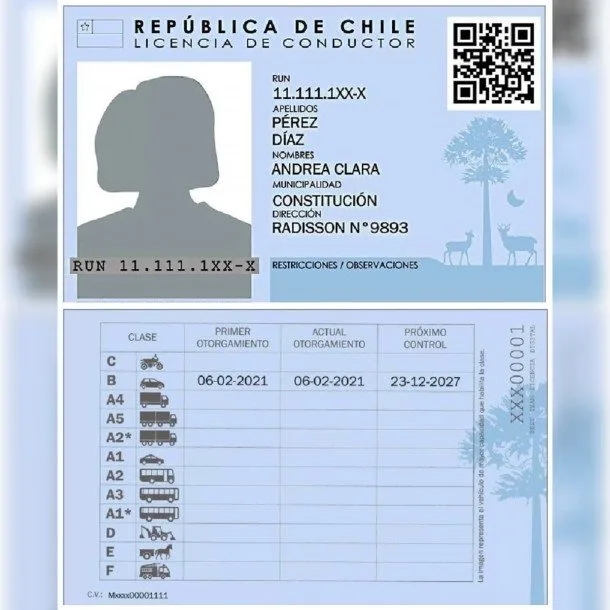 Licencia De Conducir Digital Chile