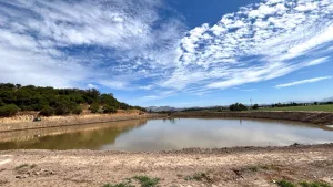 Curacavi Google Agua Segura