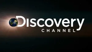 Discovery