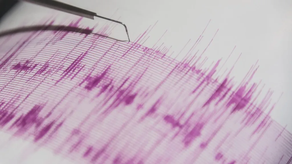 Terremoto En Japon